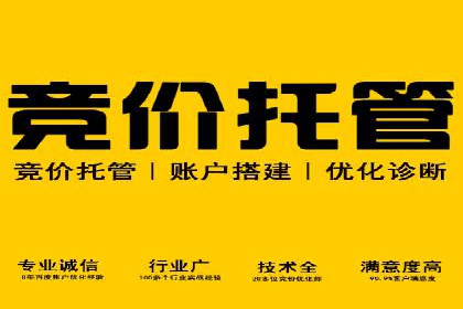 SEM托管服务成功案例背后的故事